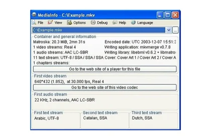 Capture d'écran du logiciel MediaInfo affichant des informations techniques détaillées sur un fichier vidéo.