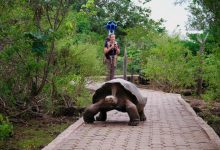 Google recherche des gros marcheurs pour améliorer son service Street View !