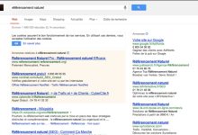 Internet : si le référencement naturel est prôné, ce sont pourtant les services de Google qui sont privilégiés