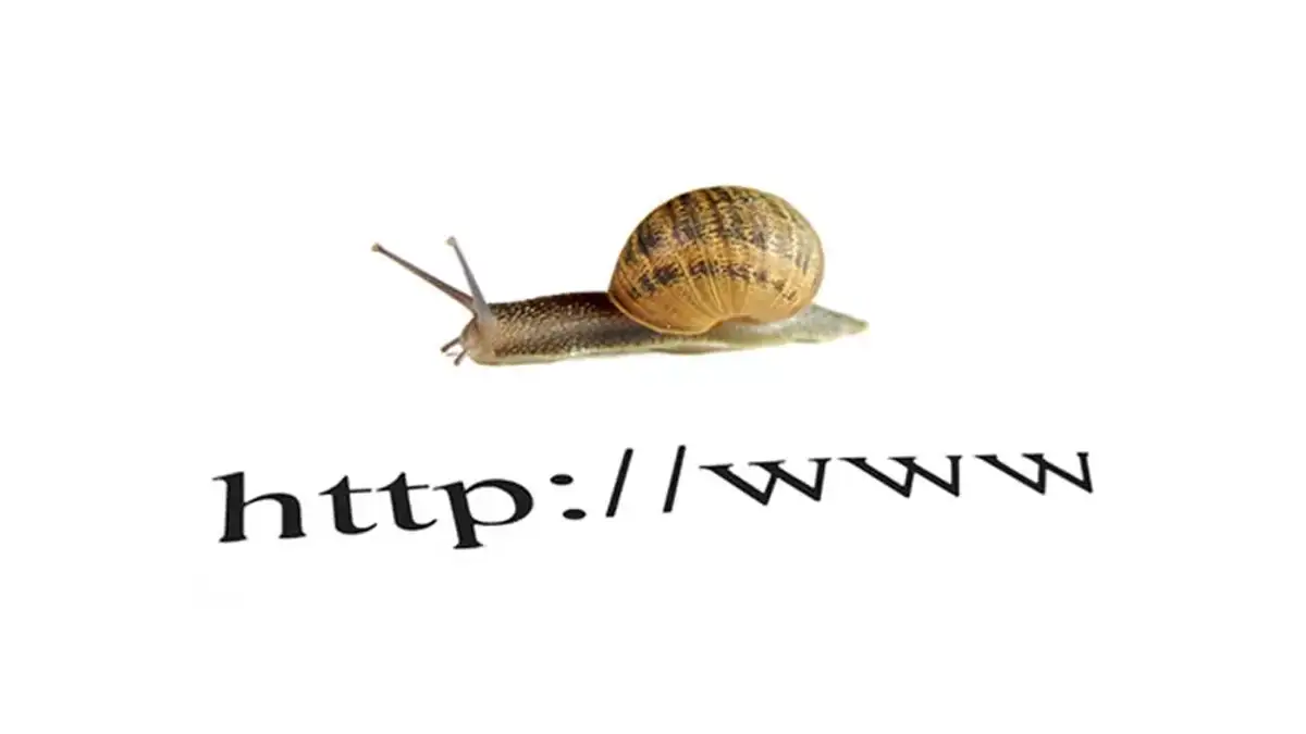 Un escargot avançant sur une URL symbolisant la lenteur d'un site web