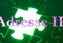 Informatique : vous avez dit « adresse IP » ?