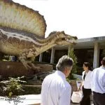 Le spinosaurus, un mastodonte étrange