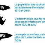 Les populations d'eau douce déclinent plus rapidement