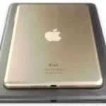 Jusqu'ici l'iPad Air se déclinait dans une version « argent » et une autre « gris sidéral ».