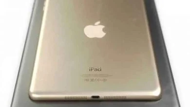 Jusqu'ici l'iPad Air se déclinait dans une version « argent » et une autre « gris sidéral ».