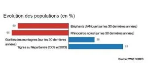 Les zones protégées n'arrêtent pas le braconnage