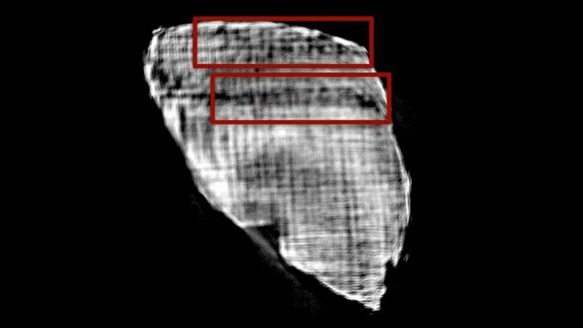 Deux mots dévoilés dans une des spires des rouleaux d'Herculanum : en haut, PIPTOIE (pi-iota-pi-tau- omicron-iota-epsilon), en bas EIPOI (epsilon-iota-pi-omicron-iota).