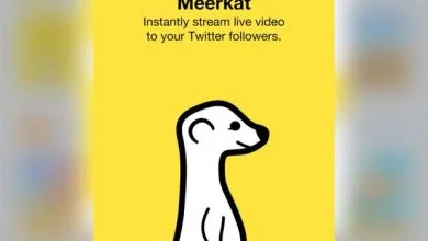 Meerkat : le streaming video en direct sur Twitter