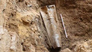 Miracle archéologique ... ou découverte d'une "momie" d'un genre nouveau ?!