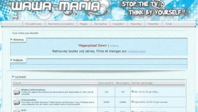 15,6 millions d'euros de dommages et intérêts contre le créateur du site Wawa mania