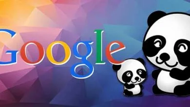 Google : du retard dans la mise à jour de l'algorithme Panda