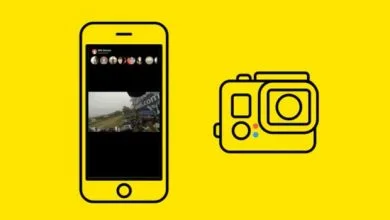 Meerkat s'invite sur les caméras GoPro