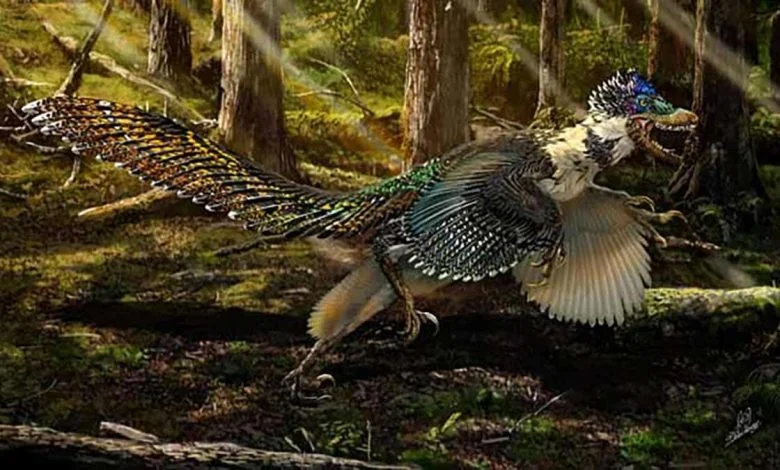 Zhenyuanlong Suni, le plus grand dinosaure à plumes du monde