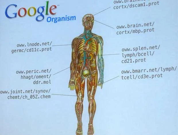 Google : création d'une nouvelle filiale de biotechnologie dédiée aux sciences de la vie