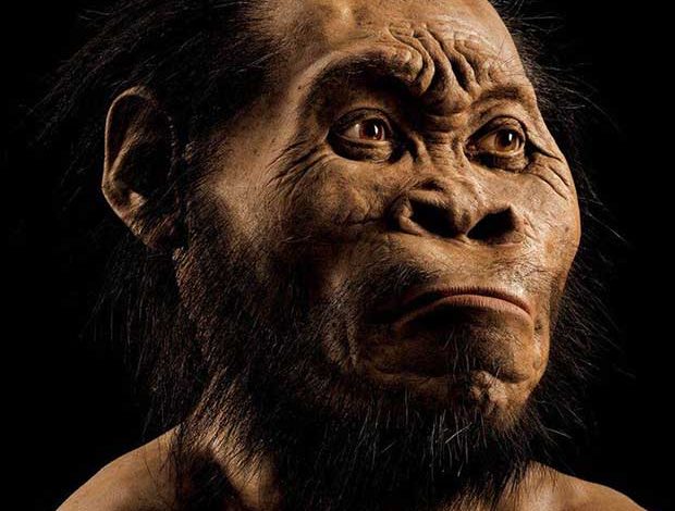 Homo naledi : découverte d'une nouvelle espèce du genre humain
