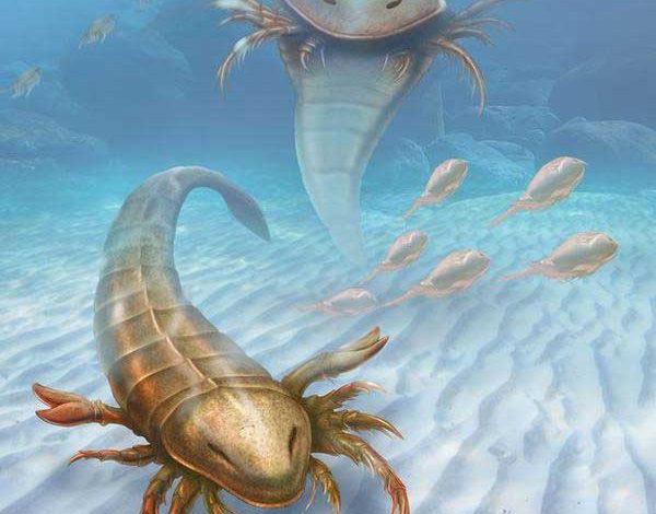 Le fossile d'un scorpion de 1 mètre 70 de long !