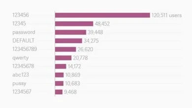 Découvrez les pires mots de passe des membres du site Ashley Madison