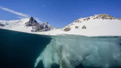 Enfin un accord sur la création de sanctuaires marins en Antarctique ?