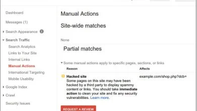 Google améliore son aide aux sites piratés