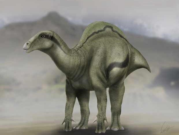 Espagne : découverte d'un nouveau dinosaure à voile près de Barcelone