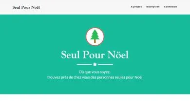 Vous pouvez trouver de la compagnie pour les fêtes de fin d'année sur seulpournoel.fr