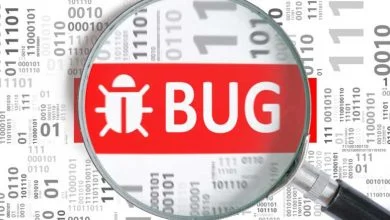 Bug informatique