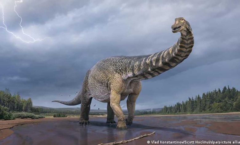 Les scientifiques confirment la découverte du plus grand dinosaure d'Australie