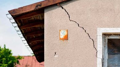 Ils créent des murs qui s'autoréparent en cas de fissures.