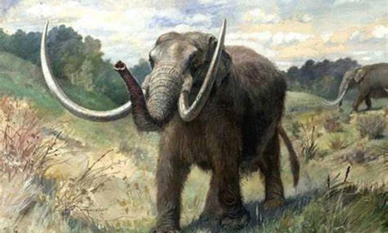 Mastodon