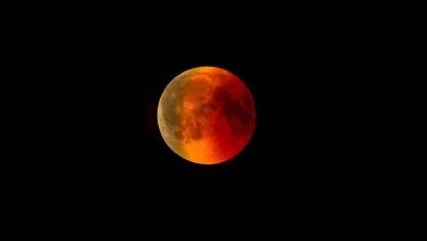 Éclipse lunaire de novembre : quand et où peut-on voir l'éclipse partielle ?