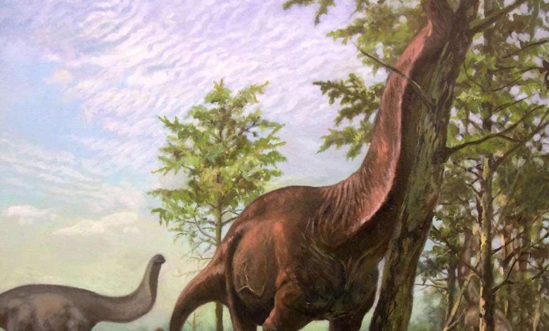 Selon les archives fossiles, les dinosaures sauropodes préféraient vivre dans des climats plus chauds et plus tropicaux.