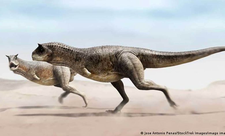 Le "Guemesia ochoai" pourrait avoir ressemblé à des parents tels que le "Carnotaurus".