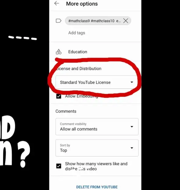 Capture d’écran des options YouTube montrant la licence « Standard YouTube License » entourée en rouge.