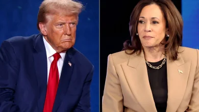 Portraits de Donald Trump et Kamala Harris, candidats à l'élection présidentielle américaine de 2024