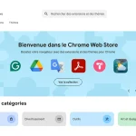 Interface du Chrome Web Store affichant des extensions ciblées par des hackers.