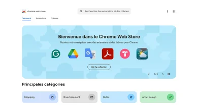 Interface du Chrome Web Store affichant des extensions ciblées par des hackers.